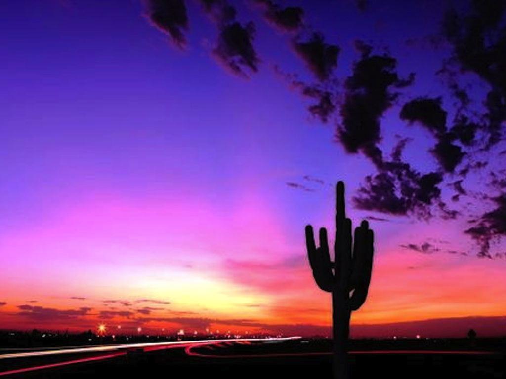 Private Resort Community Surrounded By Mountains W/3 Pool-Spa Complexes, All Heated & Open 24/7/365! Phoenix Exterior foto